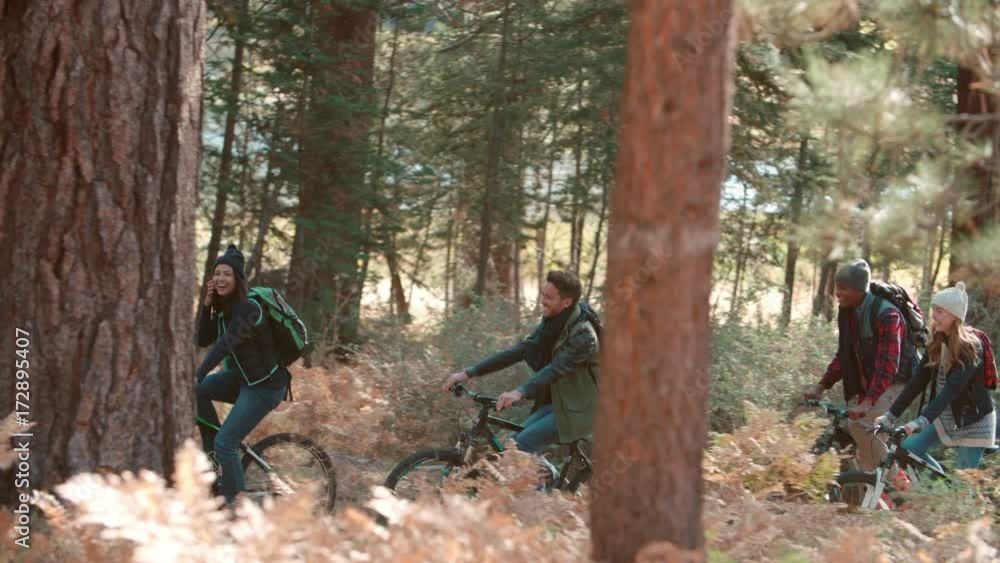 Friends riding bikes in forest, side view, right to left pan Friends riding bikes in forest, side view, right to left pan
