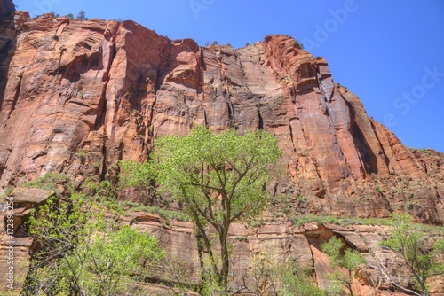 Sandstone Walls of Zion Canyon