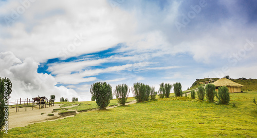 Panoramic view at the Pichincha volcano, with some native andes plants and horses with a typical hut in the horizont, in the top of Pichincha mountain in Quito, Ecuador
