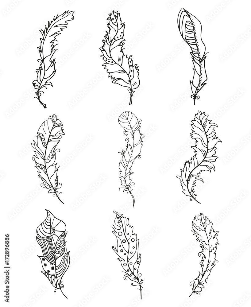 Fototapeta premium Feathers. Design Zentangle. Hand drawn feathers with patterns on isolation background. Design for spiritual relaxation for adults. Black and white illustration for coloring. Print for polygraphy