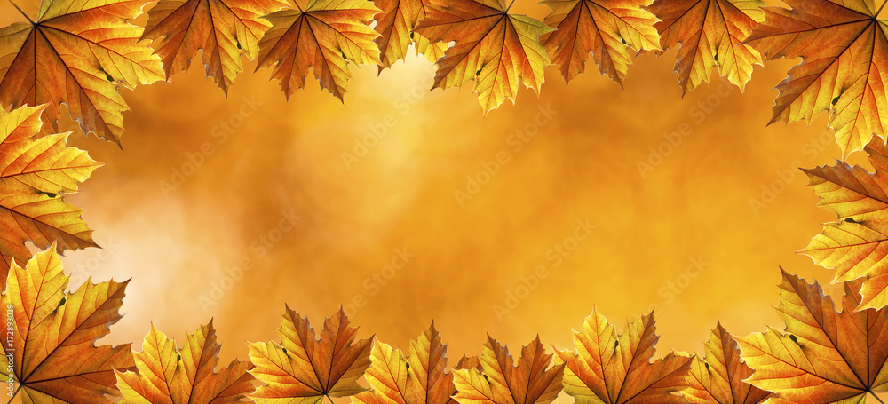 Website banner background of golden autumn fall leaves Website banner background of golden autumn fall leaves