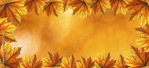 Website banner background of golden autumn fall leaves