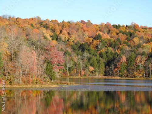 autumn pond reflections