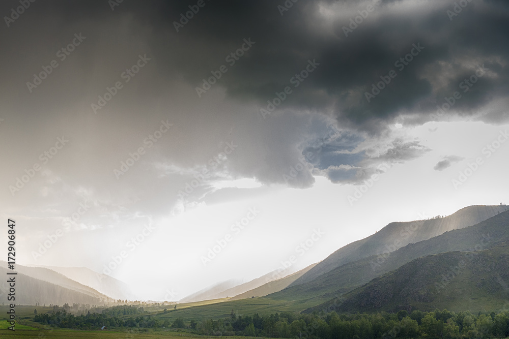 Obraz premium picturesque view of green hills with green forest in foggy morning 