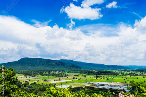 Fototapeta Naklejka Na Ścianę i Meble -  View of rice field with mountain and sky in Thailand.