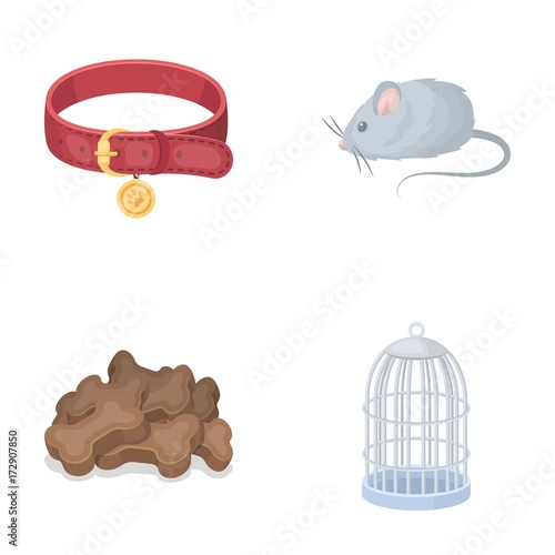 A collar, a forage, a toy, a cage and other products of the zoo store.Pet shop set collection icons in cartoon style vector symbol stock illustration web.