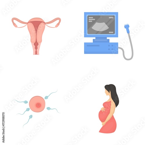 Uterus, apparatus of ultrasound, fertilization. Pregnancy set collection icons in cartoon style vector symbol stock illustration web. photo