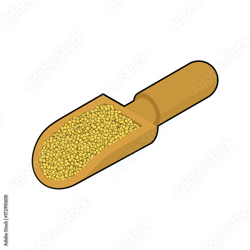 Millet in wooden scoop isolated. Groats in wood shovel. Grain on white background. Vector illustration