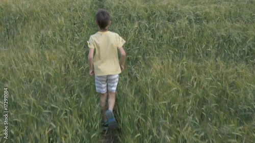 boy runs along the wheat field photo