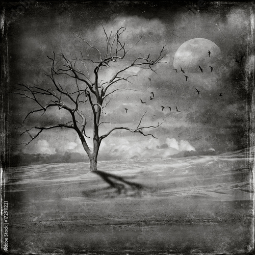 Canvas Print Flock of birds and lone dead leafless tree in desert landscape