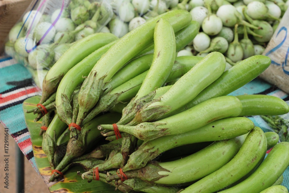 Fresh eggplant green organic in the market Fresh eggplant green organic in the market