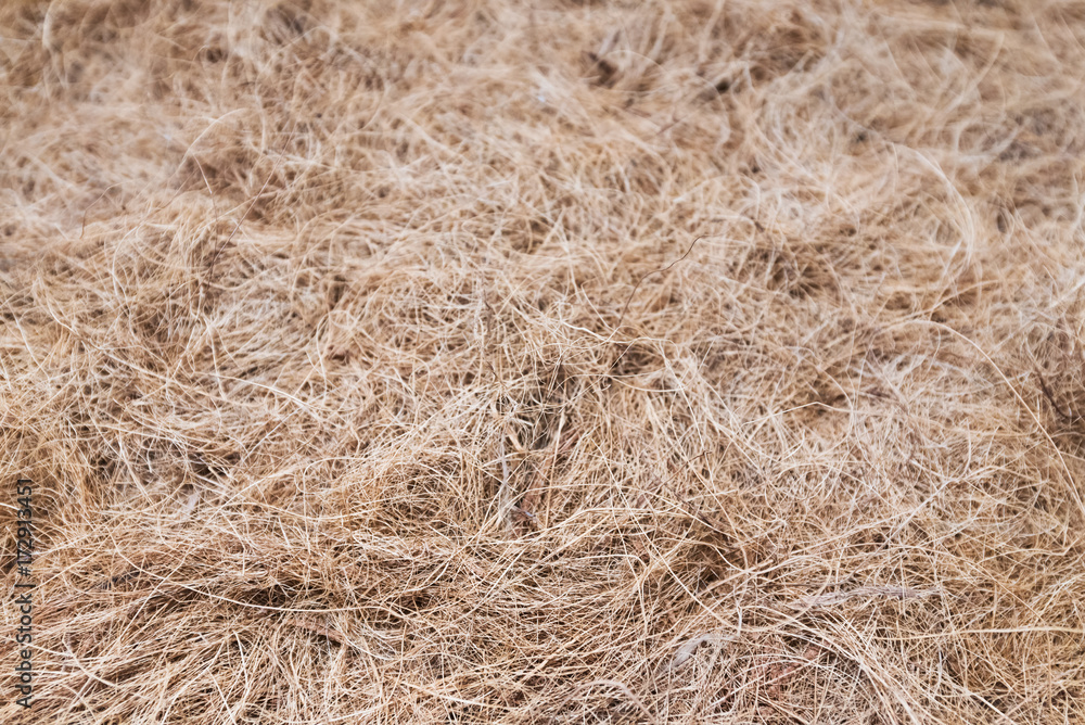 hay straw background hay straw background