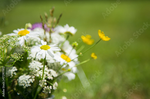 mix summer flowers bouquet © wila