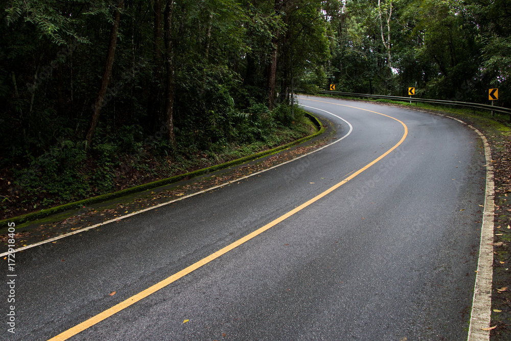 Asphalt road through the deep forest. Close up, Nature background.