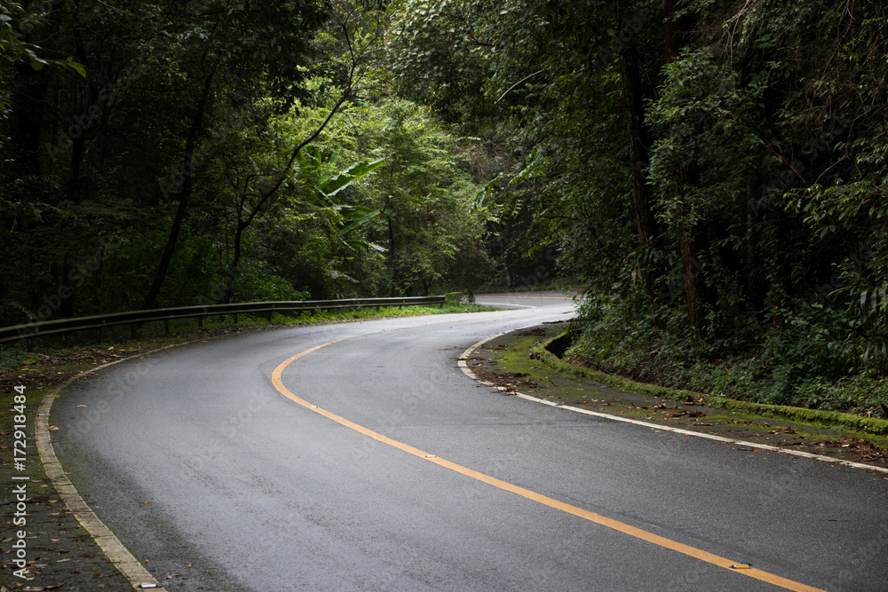 Asphalt road through the deep forest. Close up, Nature background. Asphalt road through the deep forest. Close up, Nature background.