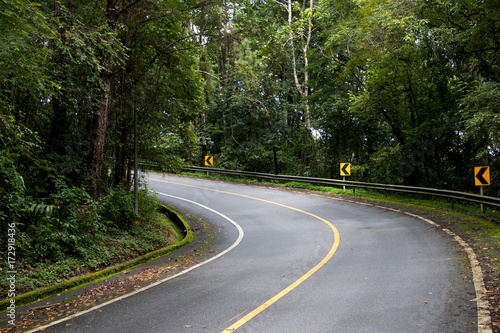 Asphalt road through the deep forest. Close up, Nature background.