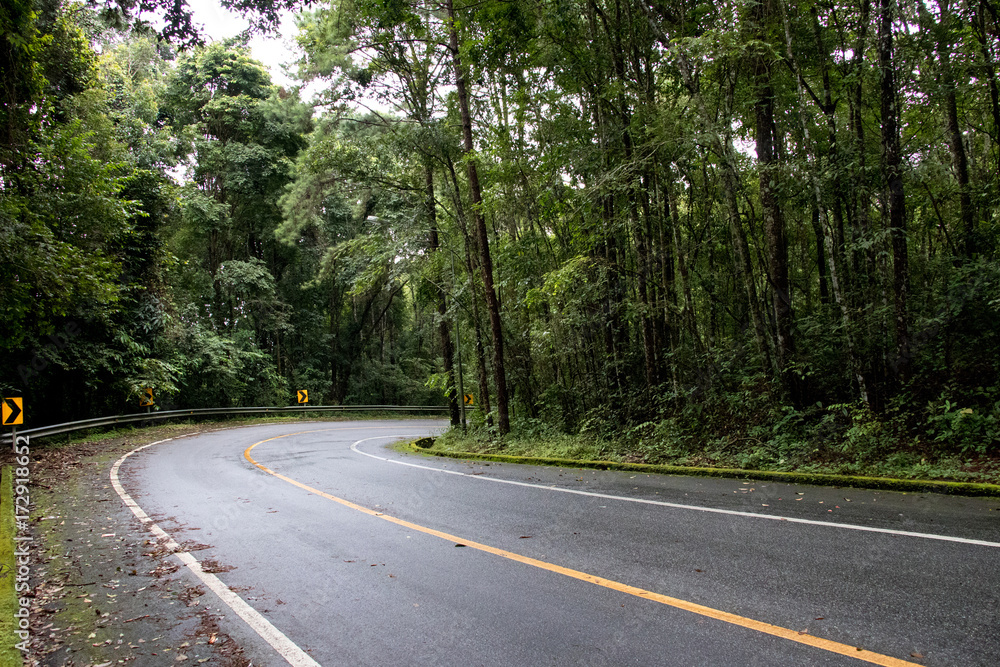 Asphalt road through the deep forest. Close up, Nature background. Asphalt road through the deep forest. Close up, Nature background.