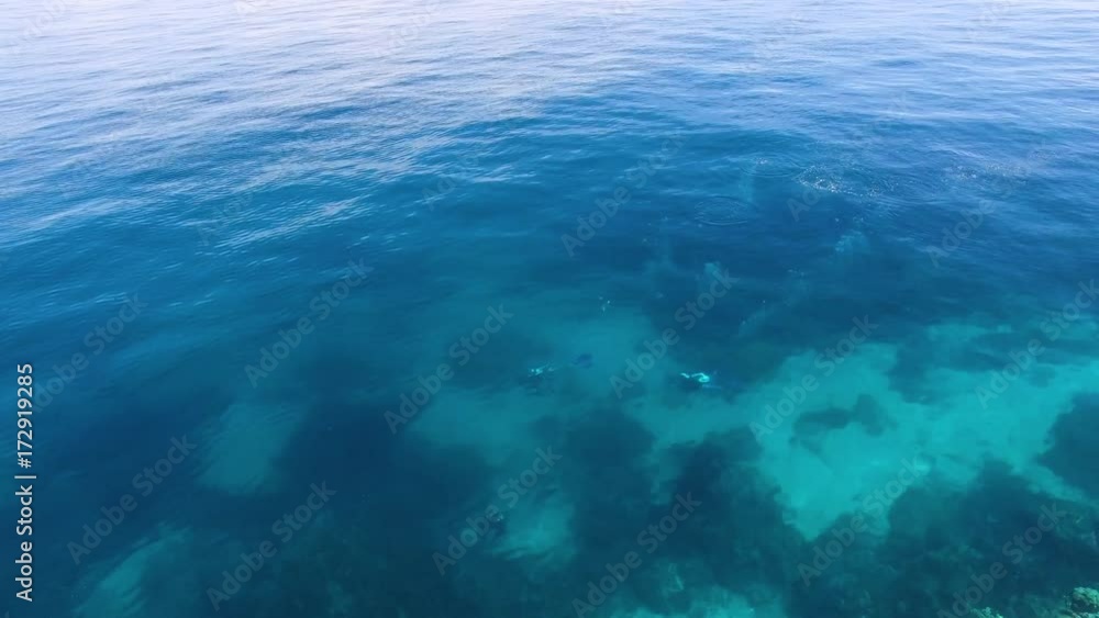 An aerial shot of scuba divers underwater. The drone movement is in a rotational pattern. An aerial shot of scuba divers underwater. The drone movement is in a rotational pattern.