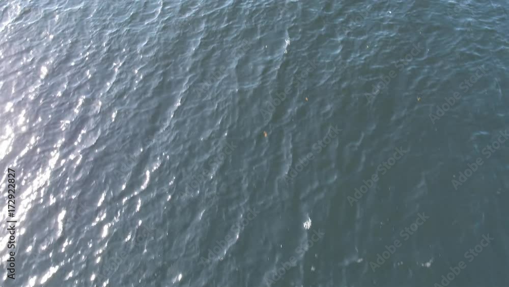 Landing on a rotten pier