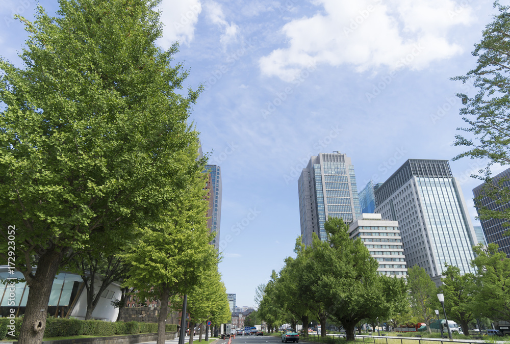 Obraz premium 東京風景 東京駅から皇居へ続く緑の並木道