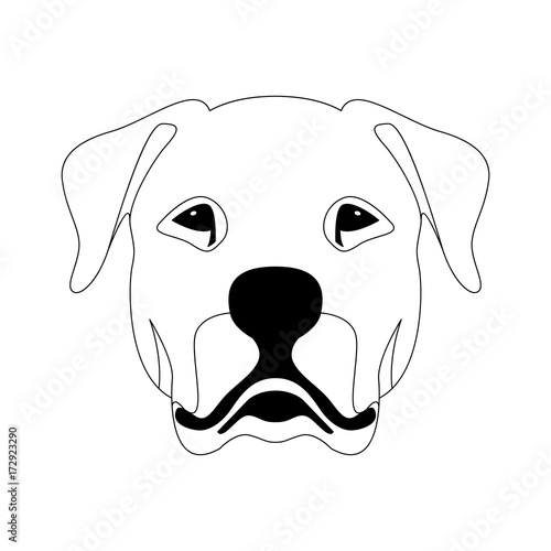 Argentine dog face  vector illustration  line drawing