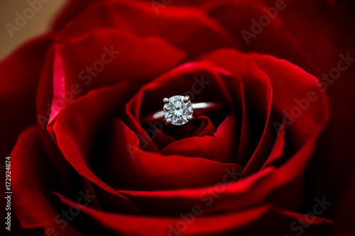 Close up of a wedding ring tucked into a single rose.