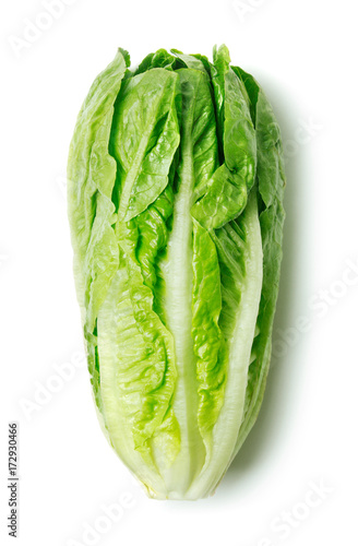 Romaine lettuce isolated on white background