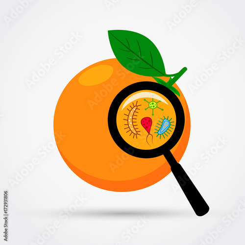 Microbes under magnification on the orange.
