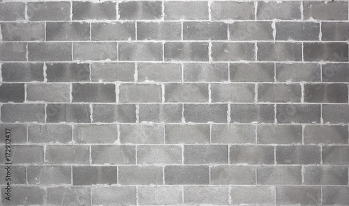 Brick cement wall