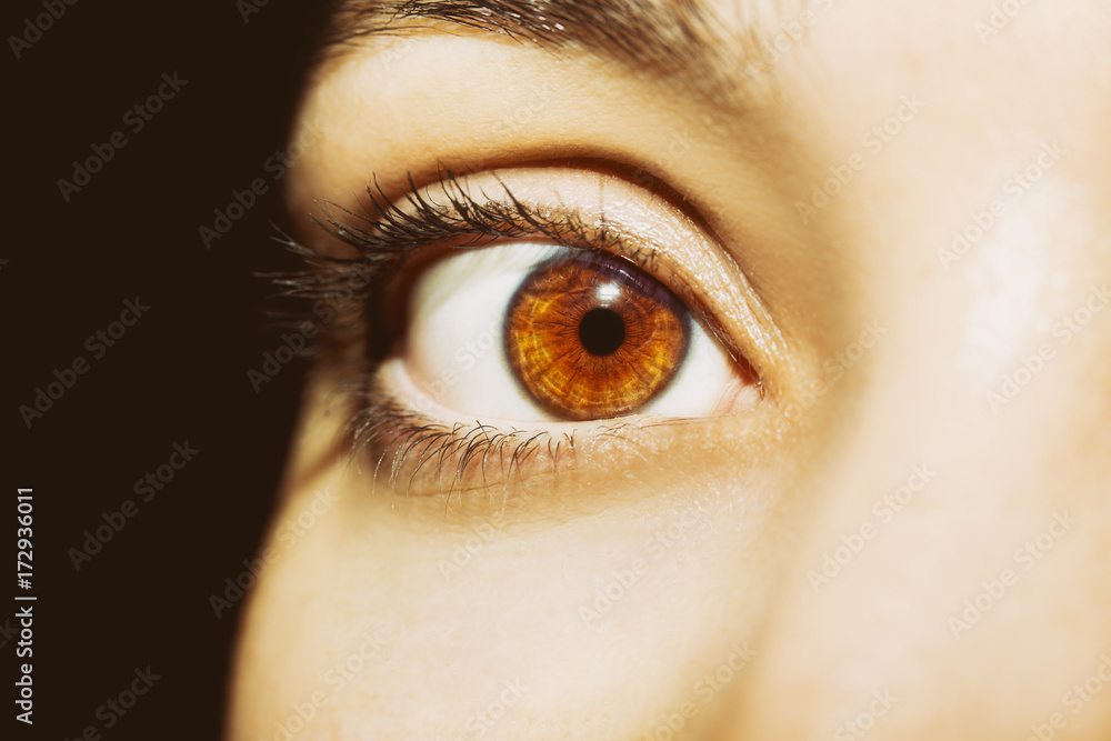 Naklejka premium A beautiful insightful look woman's eye.