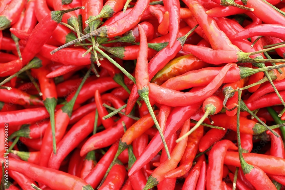 Fresh chilli in the market Fresh chilli in the market