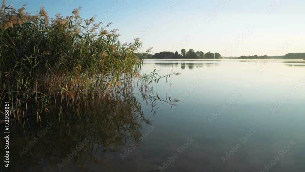 Picturesque lake in the early morning. Camera rises smoothly over the water of the forest lake in the morning hours. Shot using an a camera crane. Picturesque lake in the early morning. Camera rises smoothly over the water of the forest lake in the morning hours. Shot using an a camera crane.
