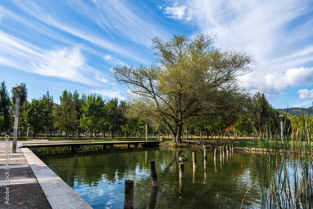 A little beautiful lake with wild ducks, in the park of Banyoles, Girona district, Catalonia, Spain A little beautiful lake with wild ducks, in the park of Banyoles, Girona district, Catalonia, Spain