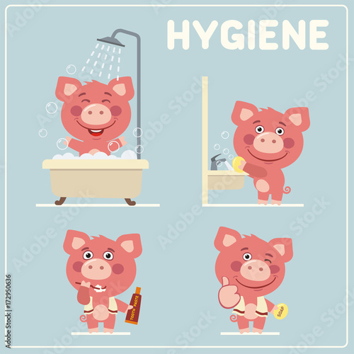 Set of funny pig is hygiene: showering, washing hands, brushing her teeth. Collection isolated of pig in cartoon style for rules of child hygiene