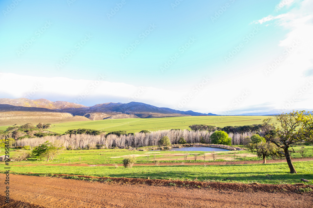 Green farm landscape with gravel road in foreground and mountains in the background, Western Cape, South Africa.