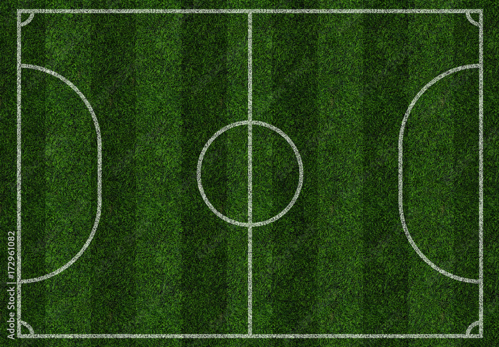Mini Football Field Pitch Ground Isolated Top View Stock Illustration Adobe Stock