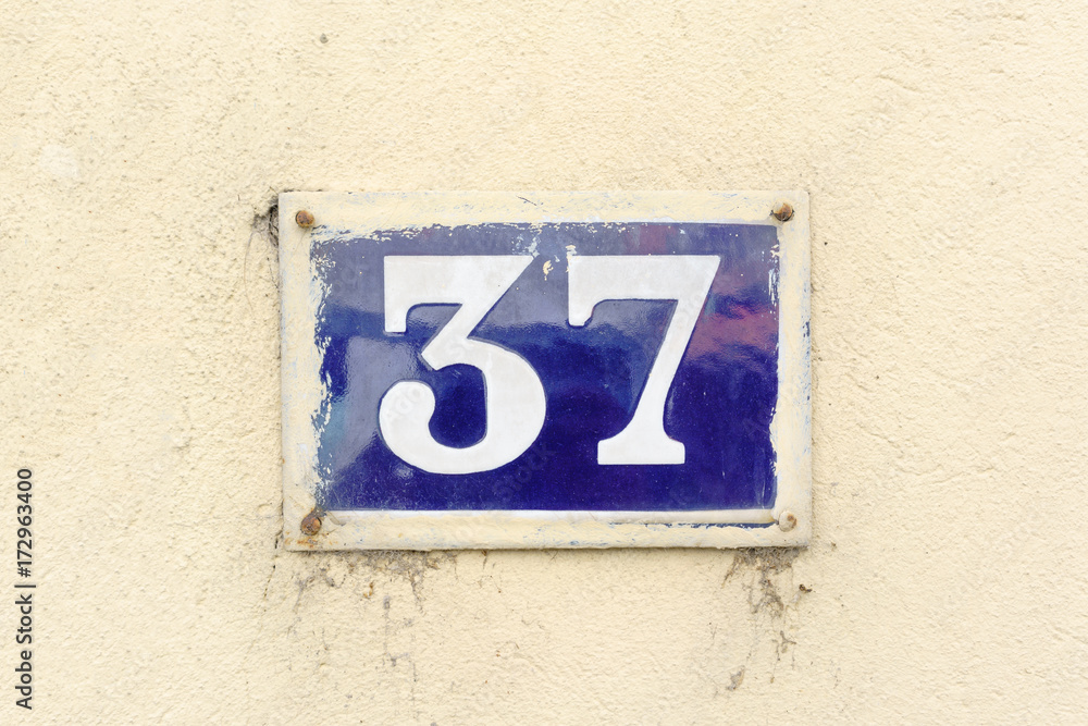 Number 37 Number 37