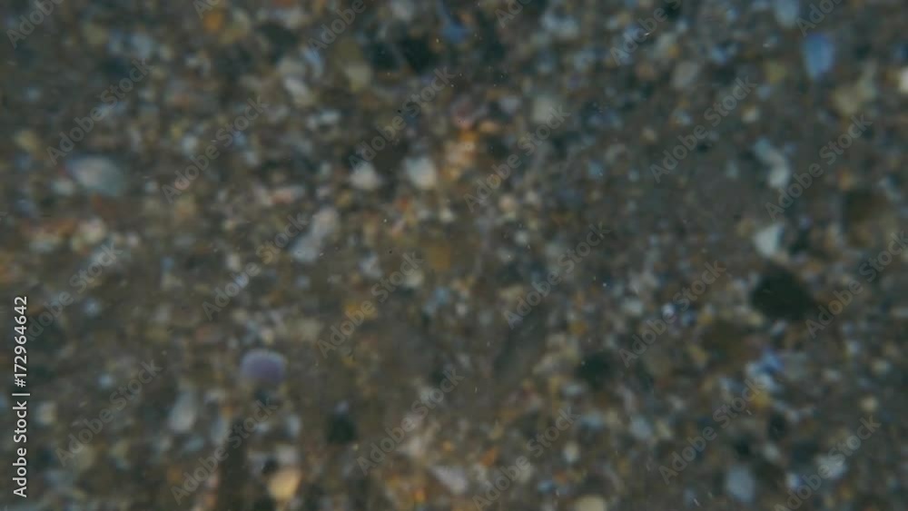 Slow motion dive to the sandy bottom of the sea with broken shells Slow motion dive to the sandy bottom of the sea with broken shells