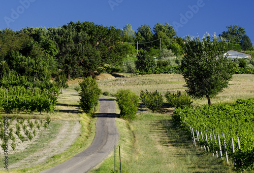Landscape between Imola and Riolo Terme  Emilia Romagna 