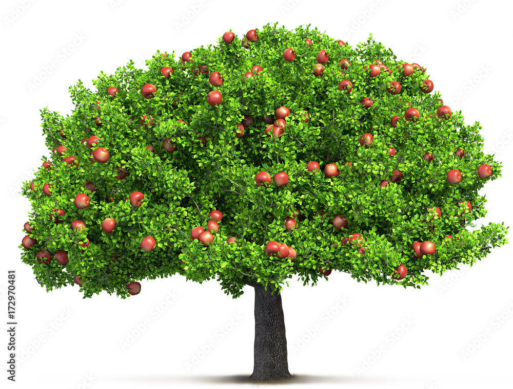 red apple tree isolated 3D illustration Stock Illustration | Adobe Stock