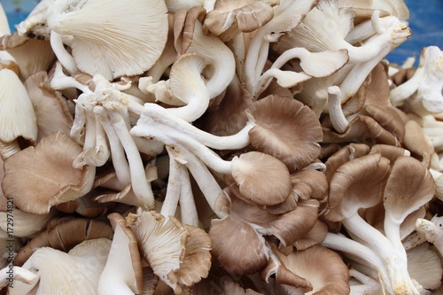 Fresh mushrooms for cooking in the market