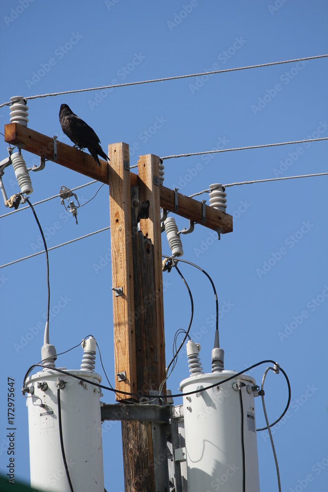 Be aware of the dangers of electricity Be aware of the dangers of electricity