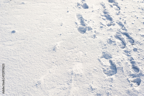 Footprints in snow, winter background