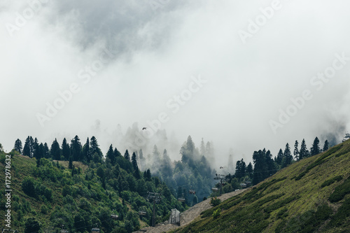 Beautiful mountain forest landscape. © Maksim Kostenko