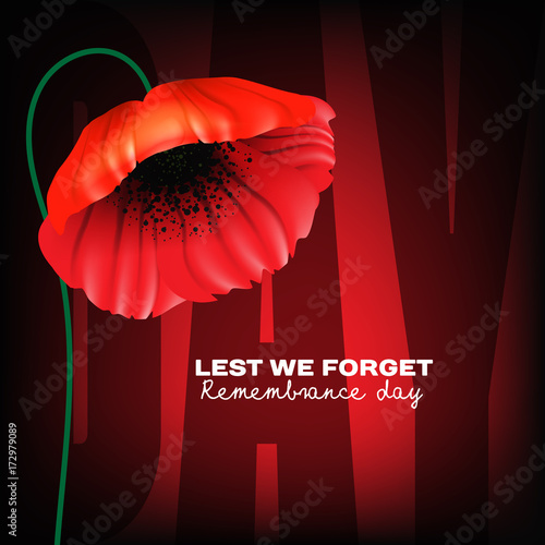 Remembrance Day greeting card. Beautiful. realistic red poppy flower on red background with lettering