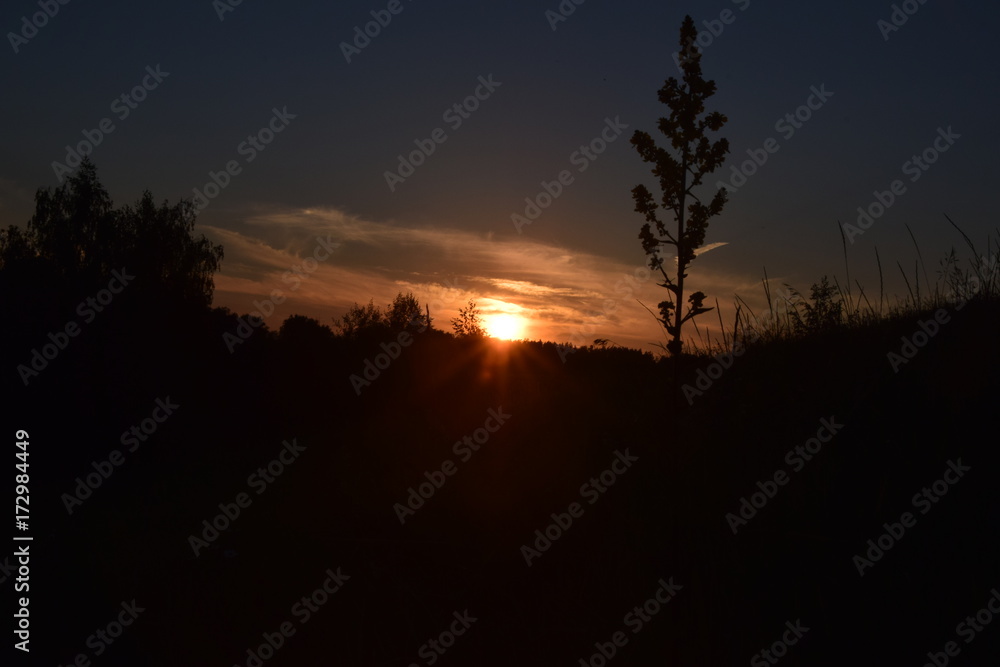 Obraz premium Природа России