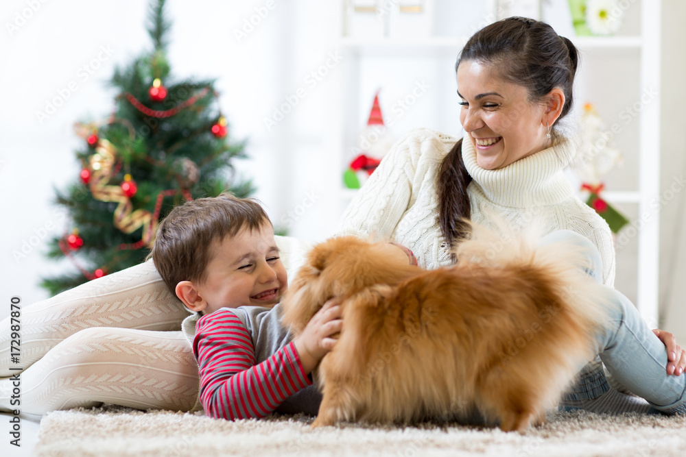 Woman, her son and dog enjoying in cuddling in Christmas time Woman, her son and dog enjoying in cuddling in Christmas time