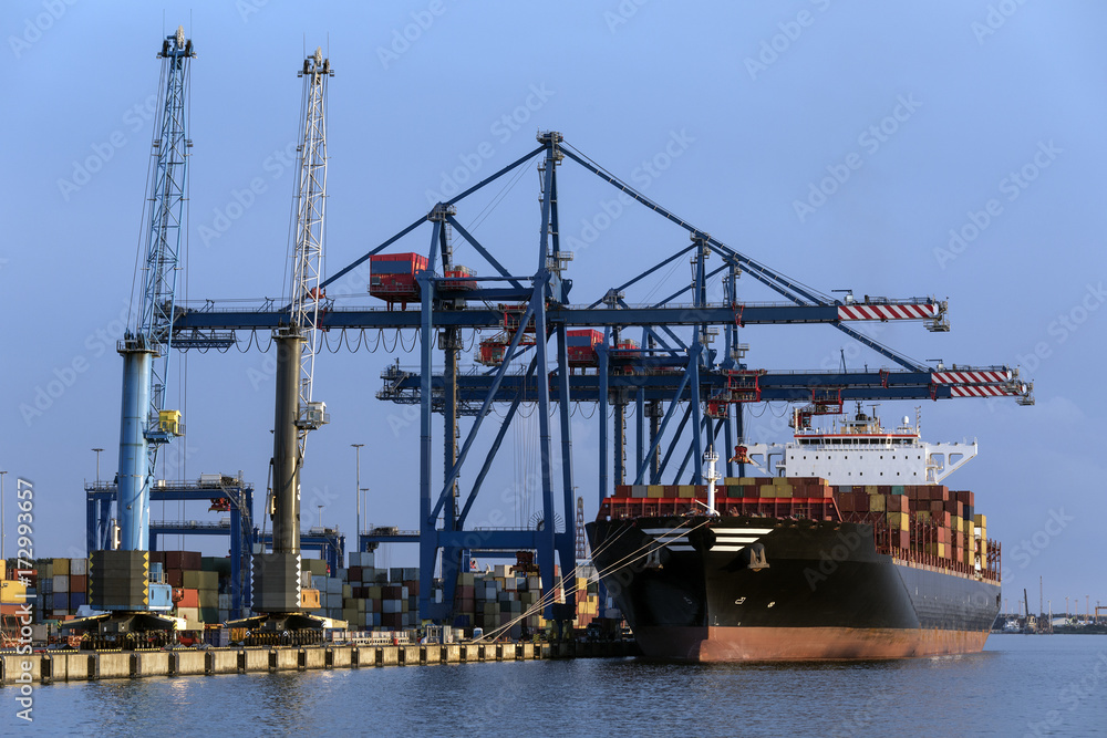 Shipping - Cargo - Container Ship