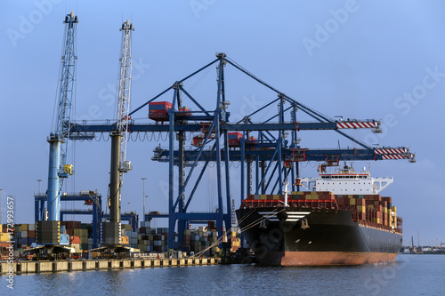 Shipping - Cargo - Container Ship