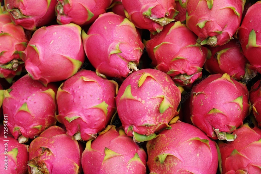 Fresh dragon fruit organic in the market Fresh dragon fruit organic in the market